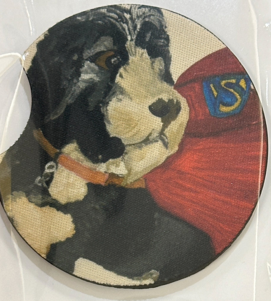 Super Pup Car Coaster